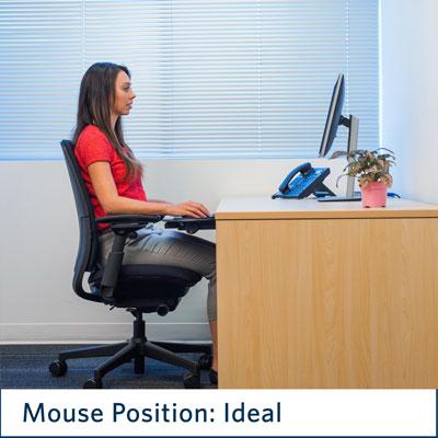 Mouse ideal