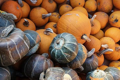 Green and orange pumpkins