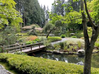 Nitobe garden