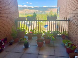 Community Garden at UBCO, view of entire garden