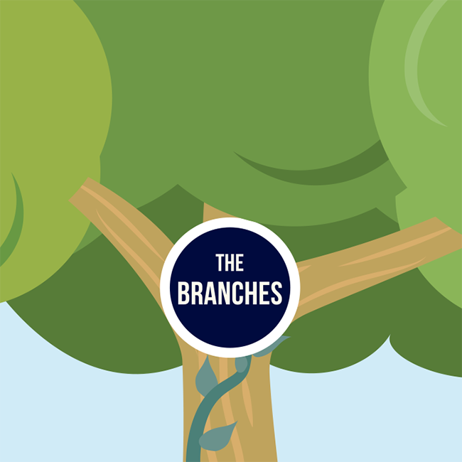 The branches section of the Benefits Tree - click to jump to the branchessection