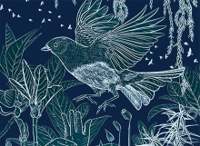 white outline of bird and foliage on navy blue background